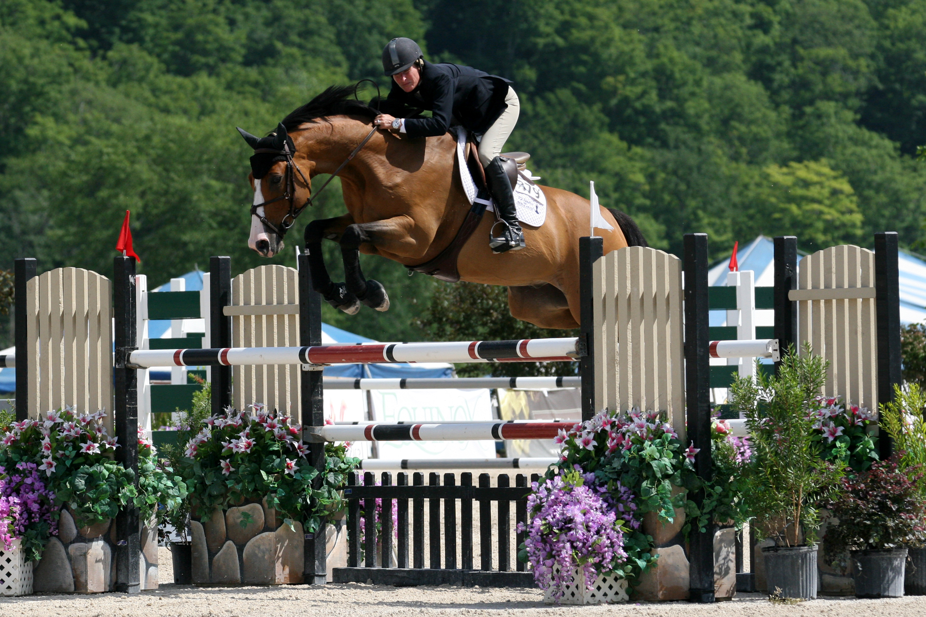 Molly Ashe Blazes to Victory at Vermont Summer Festival Horse Show